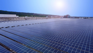 中美硅晶与jinnian金年会光电携手战略合作