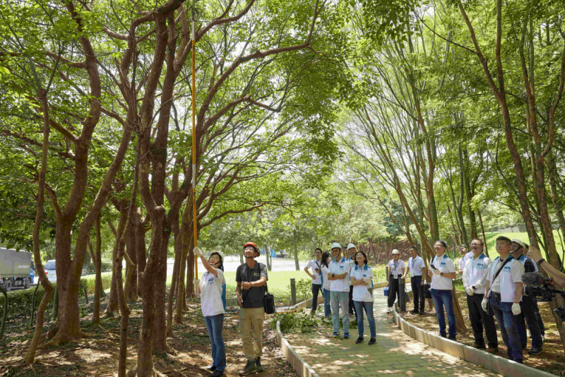 藝師教導大家認識樹木、檢查樹的健康狀況，學習修枝及碎枝覆土